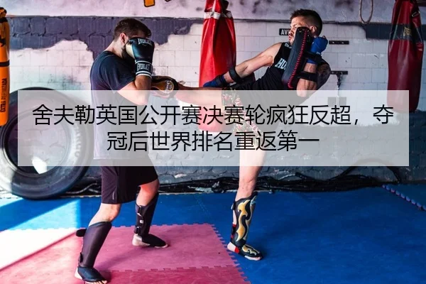 she-fu-lei-ying-guo-gong-kai-sai-jue-sai-lun-feng-kuang-fan-chao-duo-guan-hou-shi-jie-pai-ming-chong-fan-di-yi-2-609.jpg